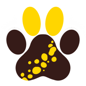 Paw Keychain